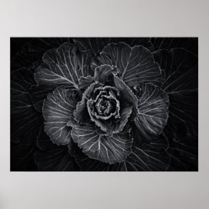 Blume im Garten in Schwarz und Weiß Nr. 108 Poster