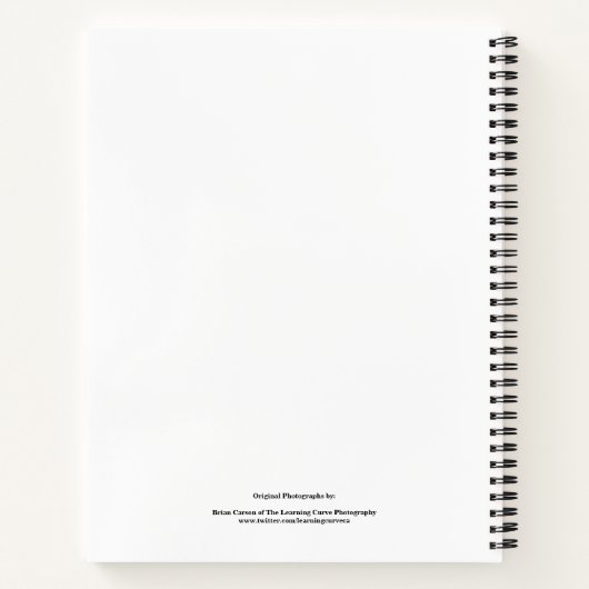 Blume im Garten in Schwarz und Weiß Nr. 11 Notizblock (Rückseite)