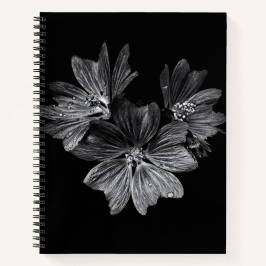 Blume im Garten in Schwarz und Weiß Nr. 11 Notizblock (Vorderseite)
