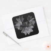 Blume im Garten in Schwarz und Weiß Nr. 11 Quadratischer Aufkleber (Umschlag)