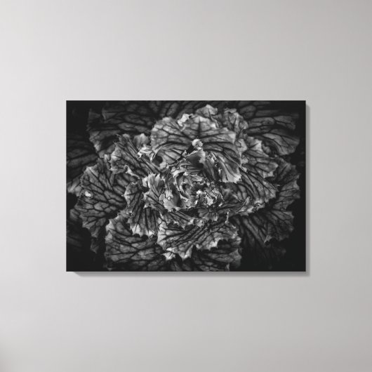 Blume im Garten in Schwarz und Weiß Nr. 42 Leinwanddruck (Vorderseite)