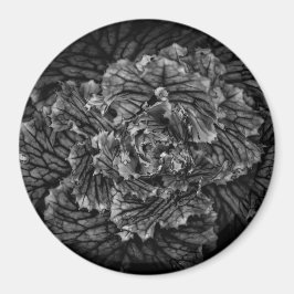 Blume im Garten in Schwarz und Weiß Nr. 42 Magnet