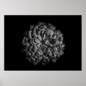 Blume im Garten in Schwarz und Weiß Nr. 48 Poster (Vorne)