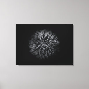 Blume im Garten in Schwarz und Weiß Nr. 68 Leinwanddruck