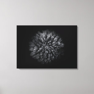 Blume im Garten in Schwarz und Weiß Nr. 68 Leinwanddruck