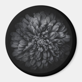Blume im Garten in Schwarz und Weiß Nr. 68 Magnet