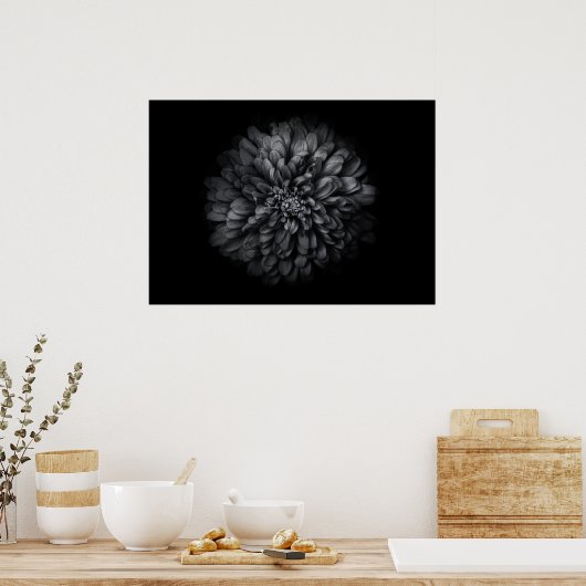Blume im Garten in Schwarz und Weiß Nr. 68 Poster (Küche)