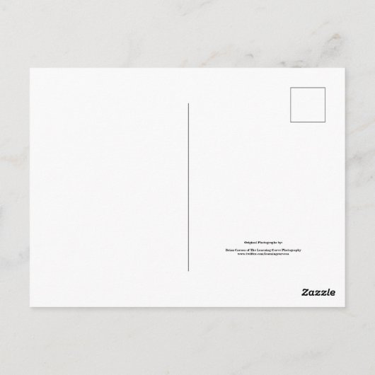 Blume im Garten in Schwarz und Weiß Nr. 68 Postkarte (Rückseite)