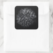 Blume im Garten in Schwarz und Weiß Nr. 68 Quadratischer Aufkleber (Tasche)