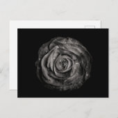 Blume im Garten in Schwarz und Weiß Nr. 72 Postkarte (Vorne/Hinten)