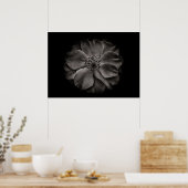 Blume im Garten in Schwarz und Weiß Nr. 84 Poster (Küche)