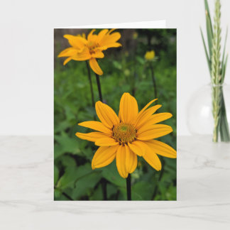 Blume im Garten Karte