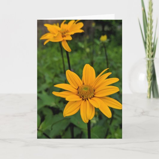 Blume im Garten Karte (Vorderseite)