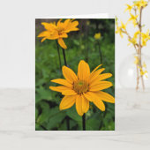 Blume im Garten Karte (Gelbe Blume)