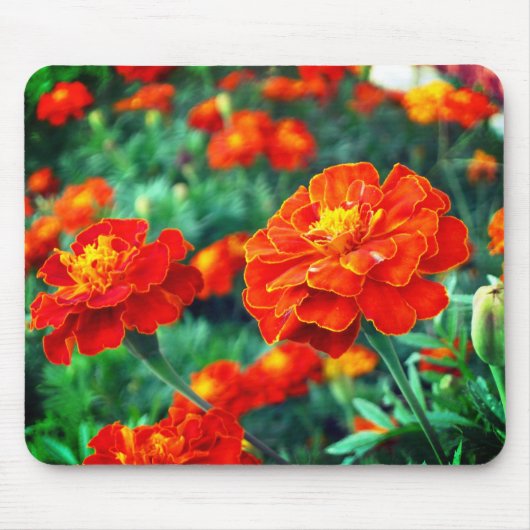 Blume im Garten Mousepad (Vorne)