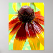 Blume im Garten Poster (Vorne)