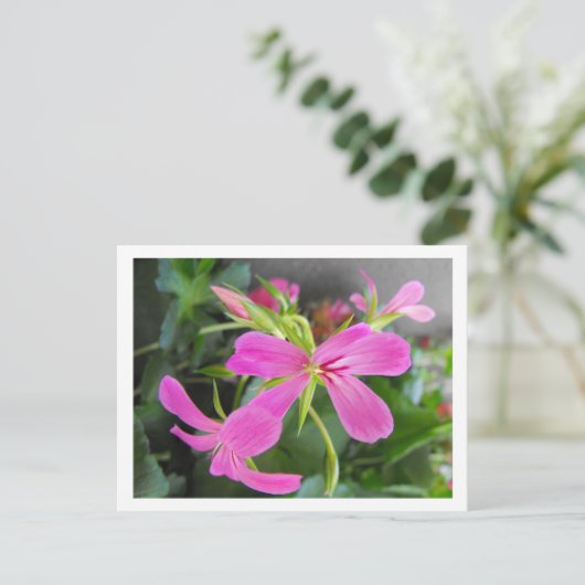 Blume im Garten, rosa Postkarte (Stehend Vorderseite)