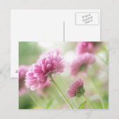 Blume im Herbst Postkarte (Vorne/Hinten)