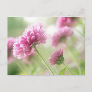 Blume im Herbst Postkarte