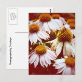 Blume im Herbst Postkarte (Vorne/Hinten)