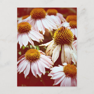 Blume im Herbst Postkarte