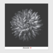 Blume im Hintergrund in Schwarz und Weiß 20 Aufkleber (Blatt)