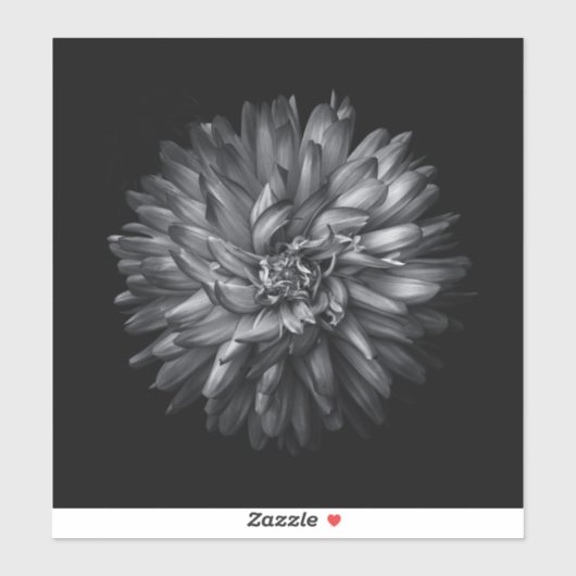Blume im Hintergrund in Schwarz und Weiß 20 Aufkleber (Blatt)