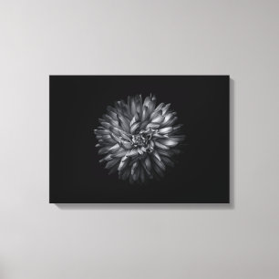 Blume im Hintergrund in Schwarz und Weiß 20 Leinwanddruck