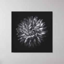 Blume im Hintergrund in Schwarz und Weiß 20 Leinwanddruck