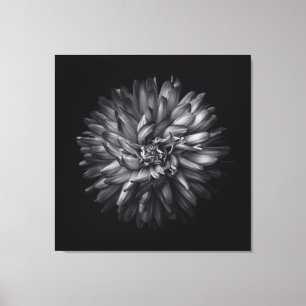 Blume im Hintergrund in Schwarz und Weiß 20 Leinwanddruck