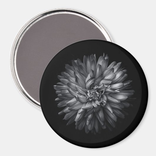Blume im Hintergrund in Schwarz und Weiß 20 Magnet (Vorderseite/Rückseite)