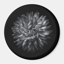 Blume im Hintergrund in Schwarz und Weiß 20 Magnet