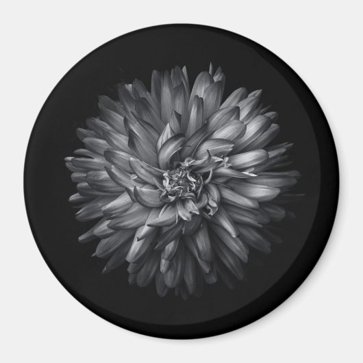 Blume im Hintergrund in Schwarz und Weiß 20 Magnet (Vorne)