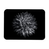 Blume im Hintergrund in Schwarz und Weiß 20 Magnet (Horizontal)