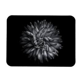 Blume im Hintergrund in Schwarz und Weiß 20 Magnet