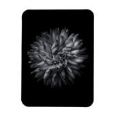 Blume im Hintergrund in Schwarz und Weiß 20 Magnet (Vertikal)
