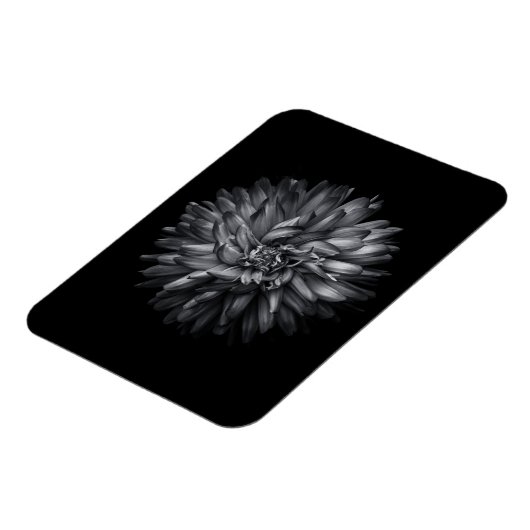 Blume im Hintergrund in Schwarz und Weiß 20 Magnet (Linke Seite)