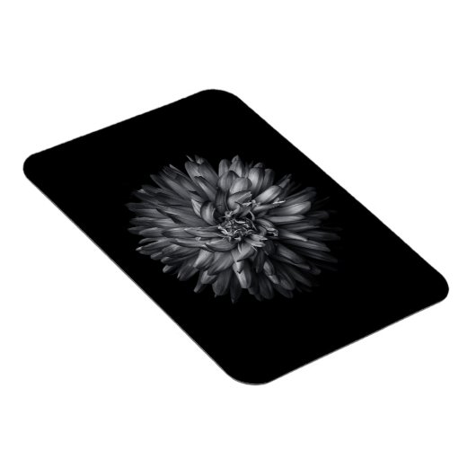 Blume im Hintergrund in Schwarz und Weiß 20 Magnet (Rechte Seite)