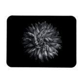 Blume im Hintergrund in Schwarz und Weiß 20 Magnet (Horizontal)