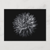 Blume im Hintergrund in Schwarz und Weiß 20 Postkarte (Vorderseite)