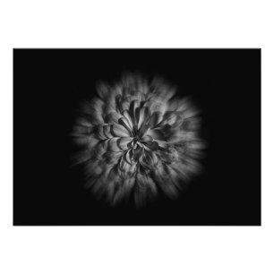 Blume im Hintergrund in Schwarz und Weiß 48 Flow Fotodruck