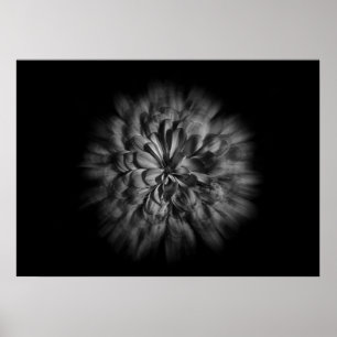 Blume im Hintergrund in Schwarz und Weiß 48 Flow Poster