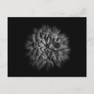 Blume im Hintergrund in Schwarz und Weiß 48 Flow Postkarte