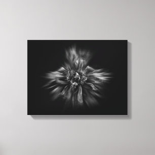 Blume im Hintergrund in Schwarz und Weiß Nr. 49 Leinwanddruck
