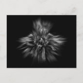 Blume im Hintergrund in Schwarz und Weiß Nr. 49 Postkarte (Vorderseite)