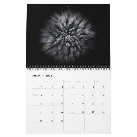 Blume im Hintergrund in Schwarz und Weiß Nr. 68 Kalender (Mär 2026)