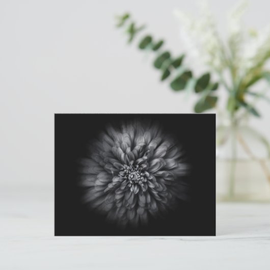 Blume im Hintergrund in Schwarz und Weiß Nr. 68 Postkarte (Stehend Vorderseite)