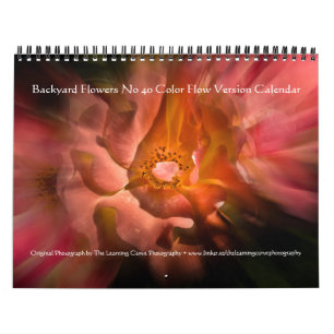 Blume im Hintergrund Nr. 40 Farbflussversion Kalender