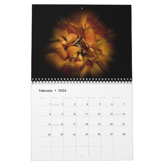 Blume im Hintergrund Nr. 80 Farbflussversion Kalender (Feb 2026)