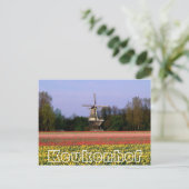 Blume im Keukenhof, Weinmühle und Bulbfields Postkarte (Stehend Vorderseite)